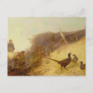 Carte Postale Marcher sur les faisans le 1er octobre (voir tous