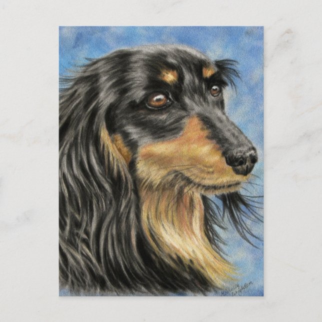Carte Postale Marcus - Long Haired Dachshund Art (Devant)
