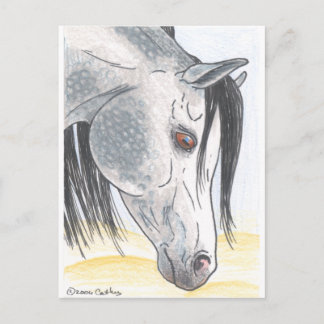 Carte postale Mare Aarabian