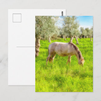 Carte Postale Mare enceinte Purebred de Alter Real élevé