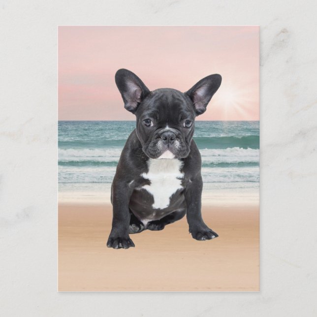 Carte Postale Mare French Bulldog Beach Eau Soleil (Devant)