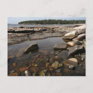Carte Postale Mare résiduelle à Wonderland dans le parc national