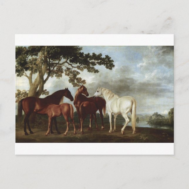 Carte Postale Mares et poulains dans un paysage fluvial George S (Devant)