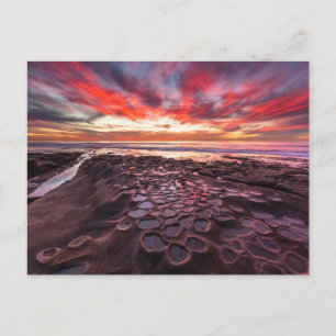 Carte Postale Mares résiduelles à La Jolla, CA
