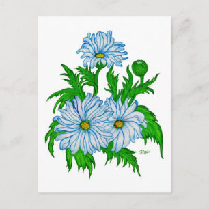 Carte Postale Margeriten Blume