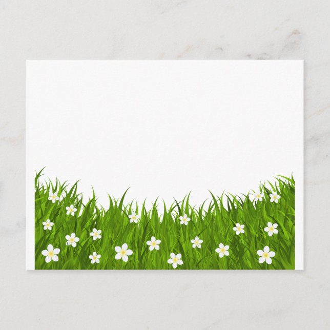 Carte postale marguerite et herbe (Devant)