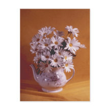 Marguerites Dans La PostCard Teapot