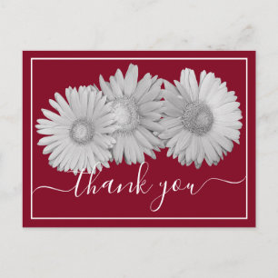 Carte Postale Marguerites de Gerbera Fond Rouge Merci