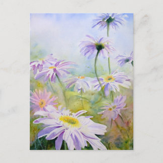 Carte Postale Marguerites géantes