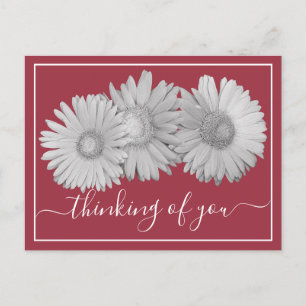 Carte Postale Marguerites Gerbera Fond de teint Rose Pensée à Vo