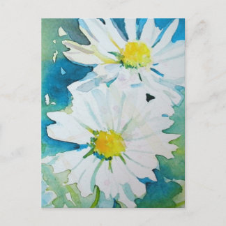 Carte Postale Marguerites sauvages