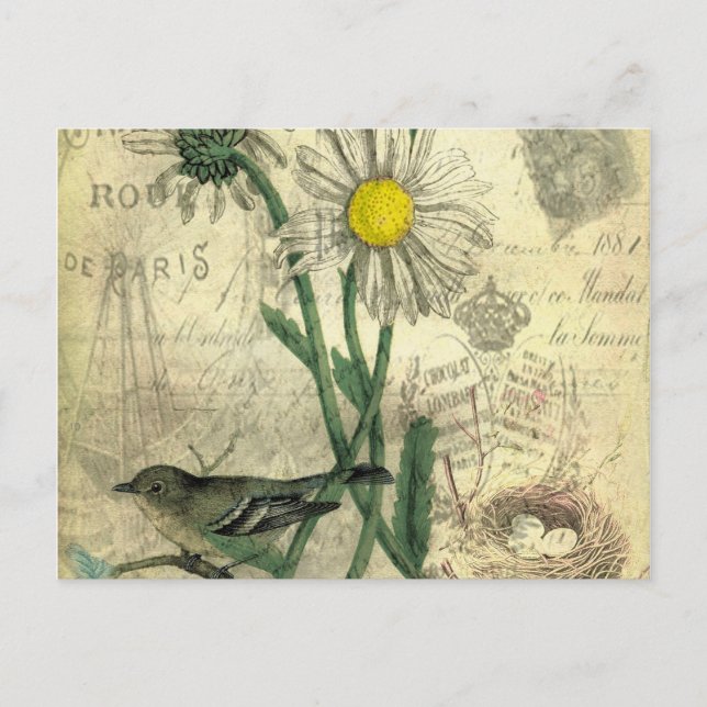 Carte Postale marguerites vintages (Devant)