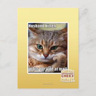 Carte Postale Mari Kitteh