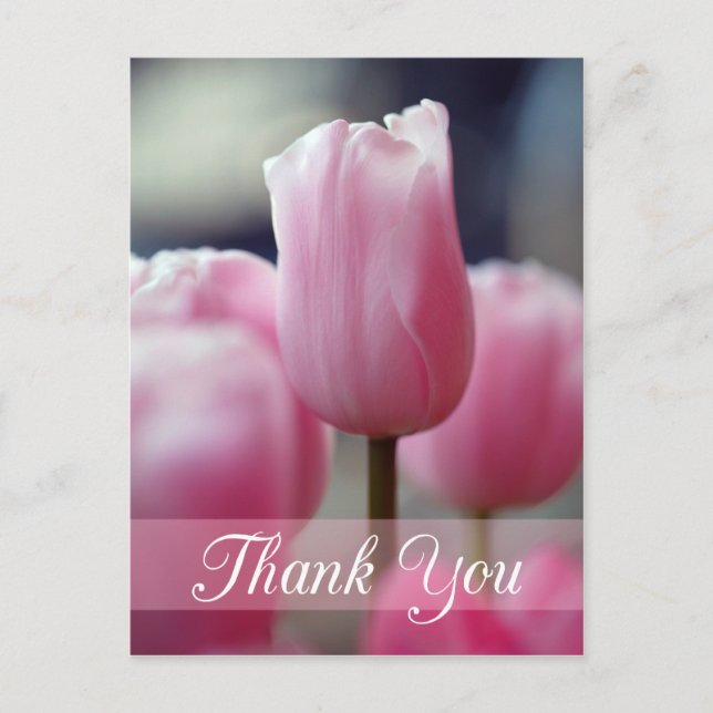 Carte Postale Mariage de fleur de tulipe rose printanier (Devant)