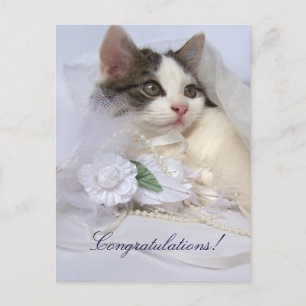 Carte postale mariage Kitten