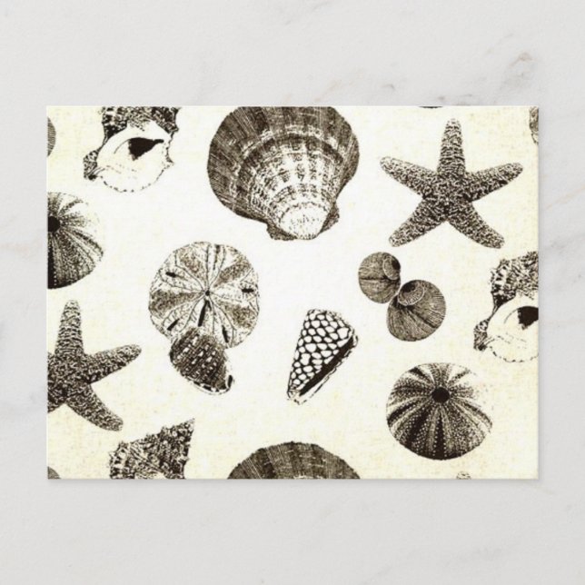 Carte Postale mariage vintage de plage tropicale (Devant)
