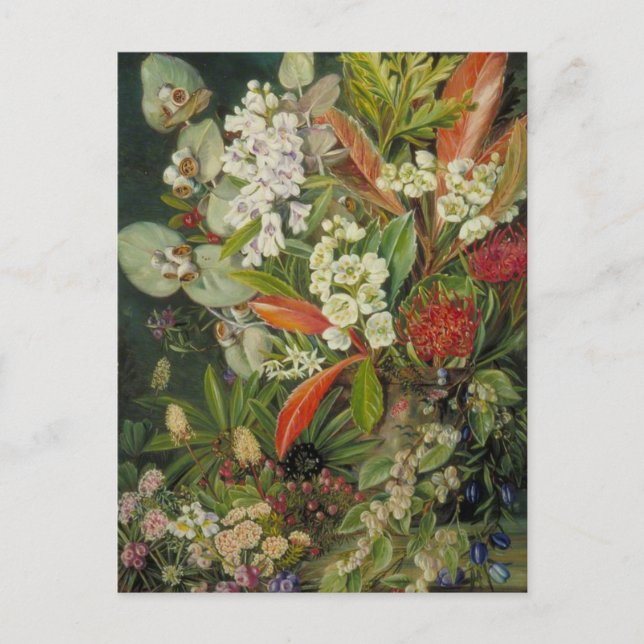 Carte Postale Marianne North Peinture botanique (Devant)