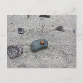 Carte Postale Marienkäfer Strand