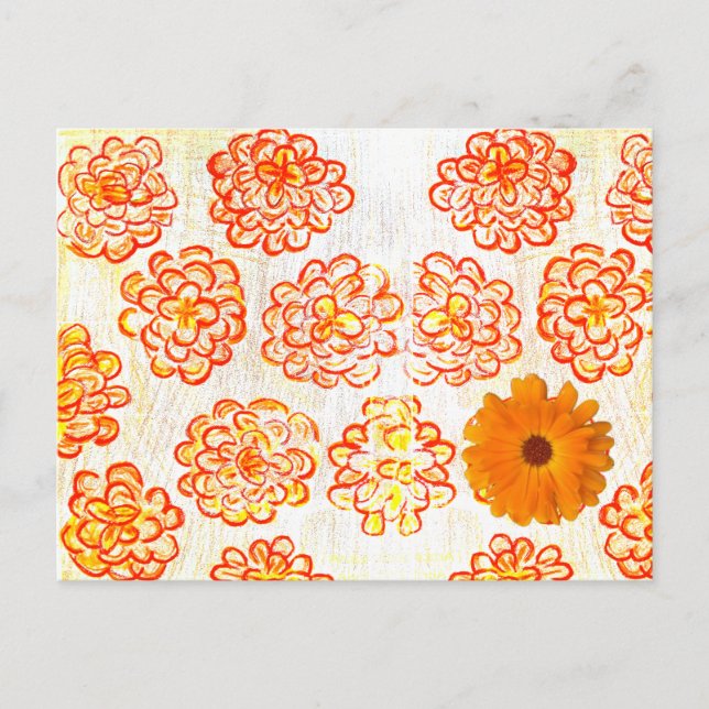 Carte Postale Marigolds (Devant)