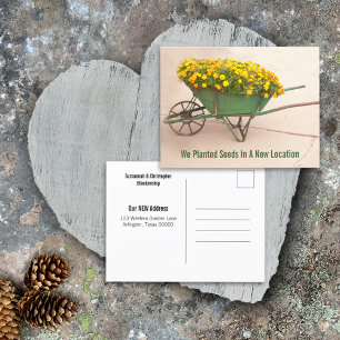 Carte Postale Marigolds De Nouvelle Adresse En Barre Vintage