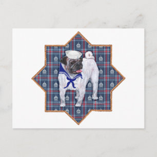 Carte Postale Marin Pug