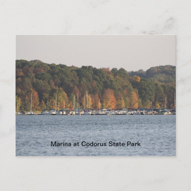 Carte Postale Marina du Parc d'état de Codorus (Devant)