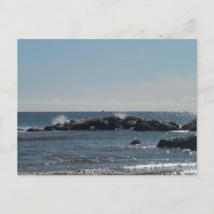 Carte postale marine