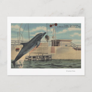 Carte Postale Marineland, Floride - Vue de Pudgy le