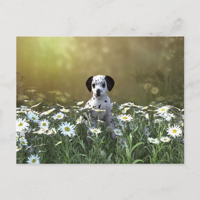 Carte Postale Marionnette dalmate mignonne dans les marguerites (Devant)