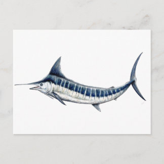 Carte Postale Marlin azul-redbubble
