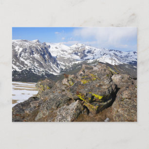 Carte Postale Marmotte à ventre jaune contemplant les montagnes