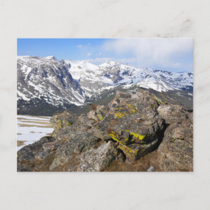 Carte Postale Marmotte à ventre jaune qui regarde les montagnes 
