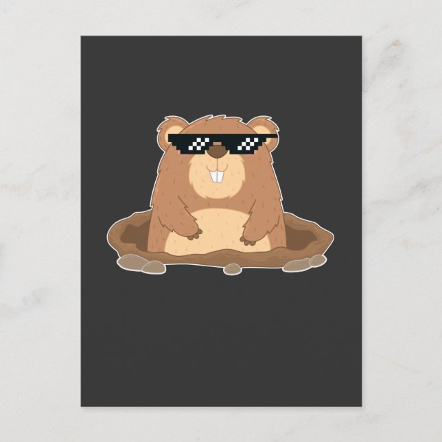 Carte Postale Marmotte drôle avec des lunettes de soleil Humour (Devant)