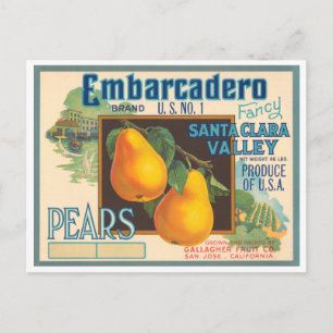 Carte Postale Marque Embarcadero Vintage Crate Étiquette