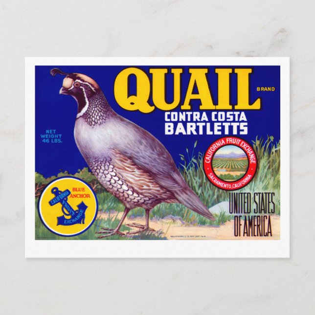 Carte Postale Marque Quail Contra Costa Bartletts (Devant)