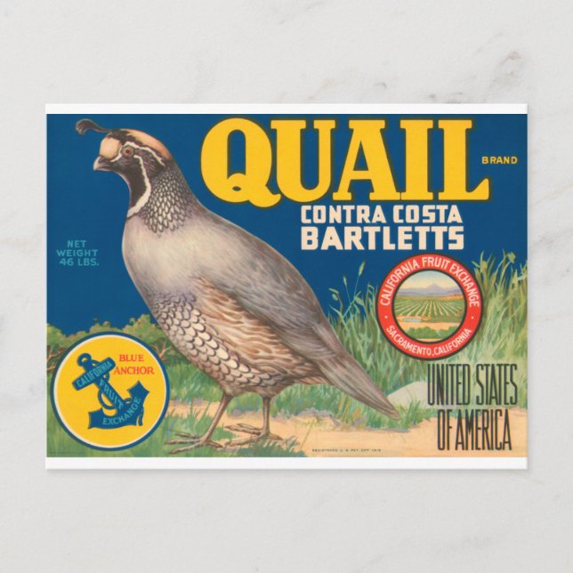 Carte Postale Marque Quail Contra Costa Bartletts (Devant)
