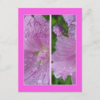 MARQUES-PAGES ROSE MALLOW