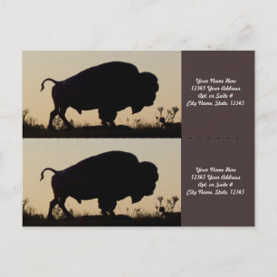 Carte Postale Marqueurs de silhouette de Buffalo