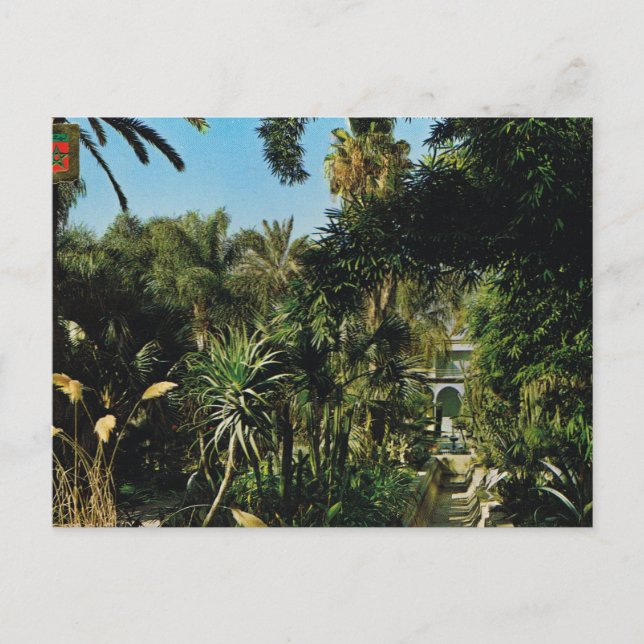 Carte Postale Marrakech, jardins de Majorelle, Maroc (Devant)