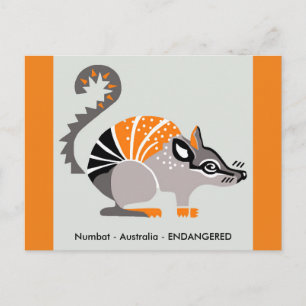 Carte Postale Marsupial - NUMBAT- Nature -Faune - 