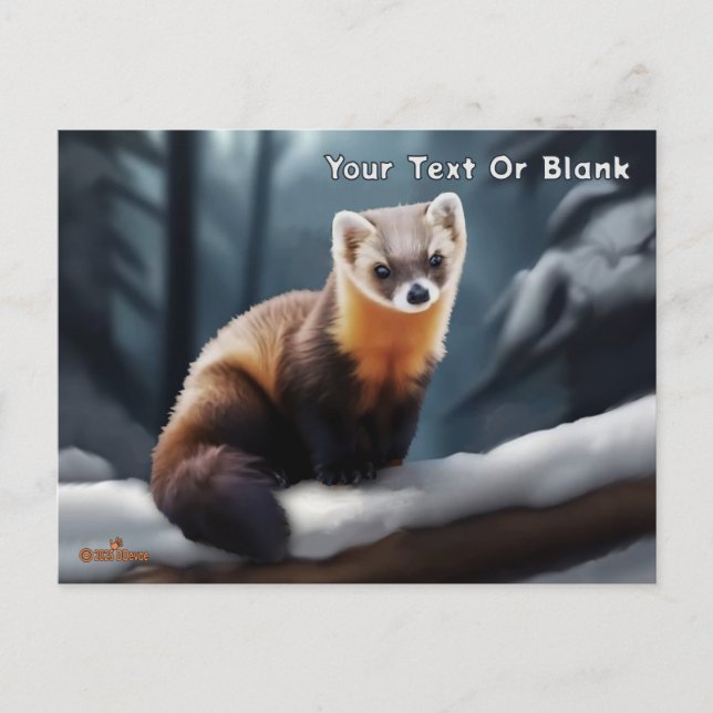Carte Postale Marten de pin américain (Devant)