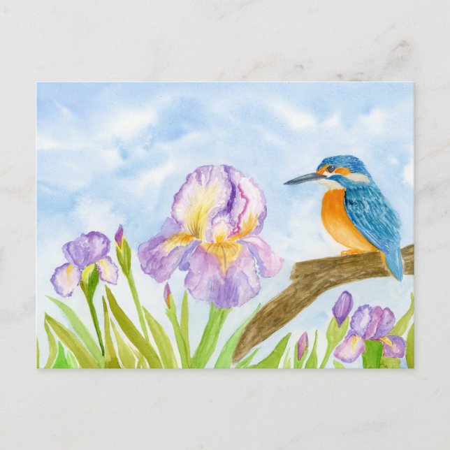 Carte Postale Martin-pêcheur avec iris violets (Devant)