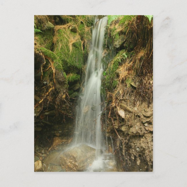 Carte Postale Martin's Brook Road (Devant)