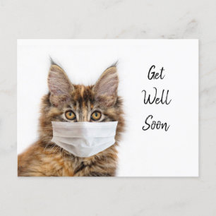 Carte Postale Masque facial sur le chat Maine Coon