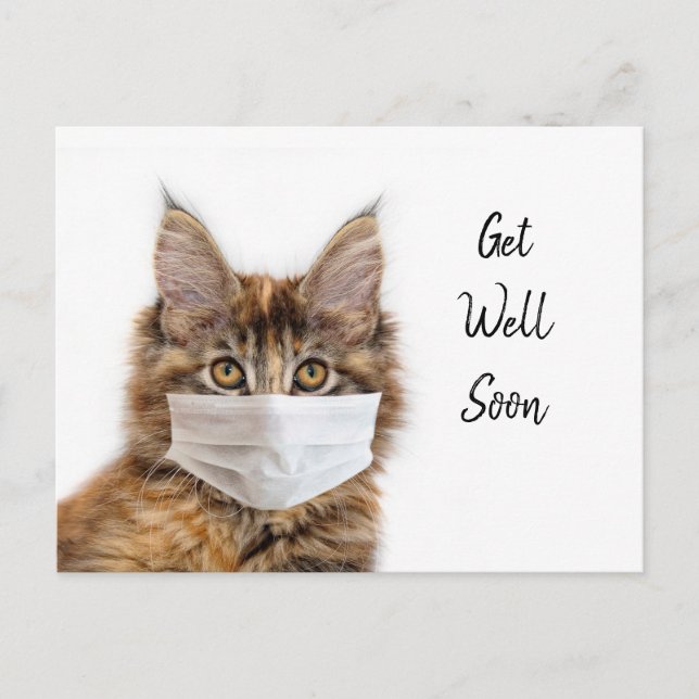 Carte Postale Masque facial sur un chat Maine Coon en convalesce (Devant)