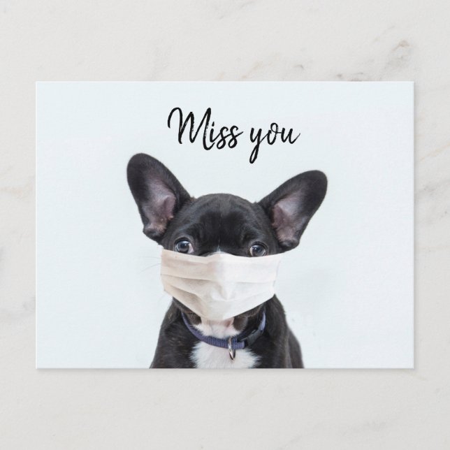 Carte Postale Masque visage sur French Bulldog (Devant)