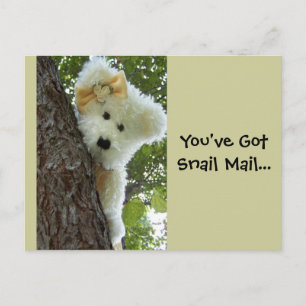 Carte Postale Masquer et rechercher