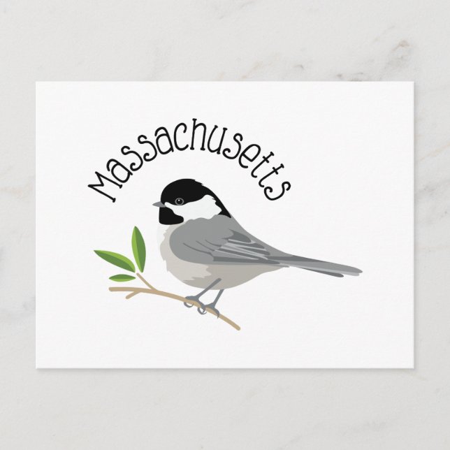 Carte Postale Massachusetts Chickadee (Devant)