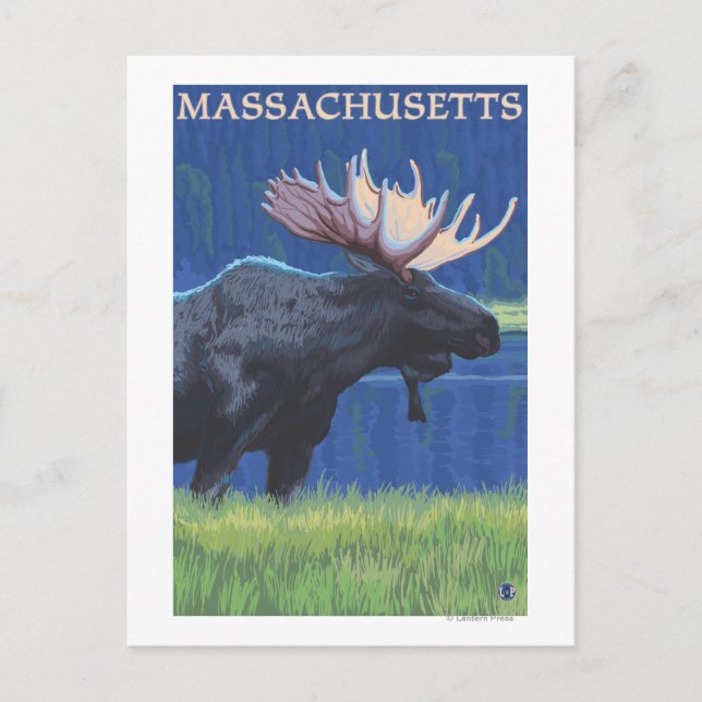 Carte Postale MassachusettsMoose au clair de lune (Devant)