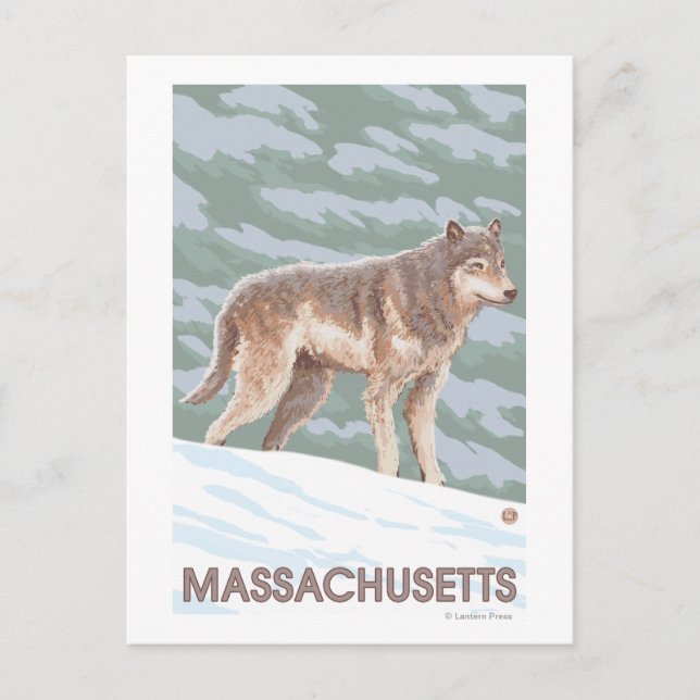 Carte Postale MassachusettsScène Wolf (Devant)
